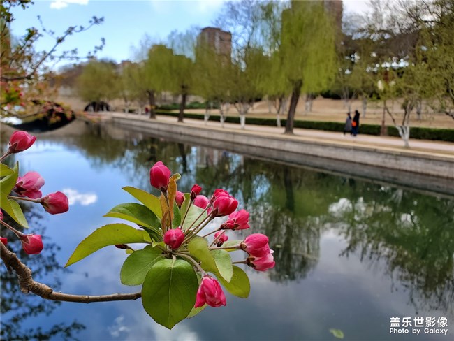 【每周精帖匯143】三星Galaxy A新品影像力家族亮相啦