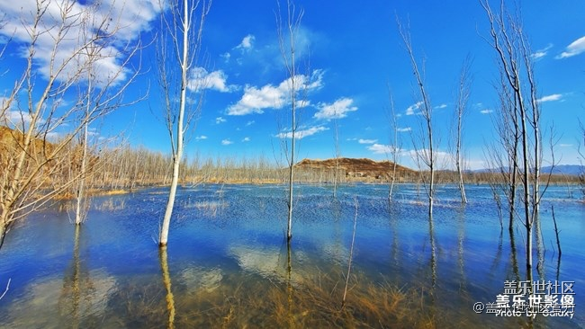 【每周精帖匯142】你是怎么度過的清明小長假呢？