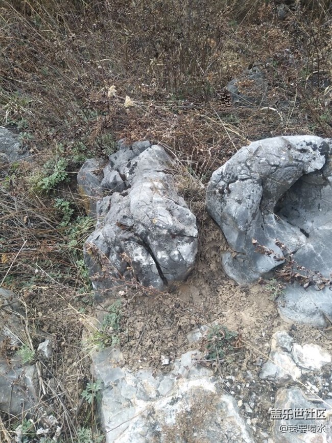 來到了陜西天竺山看看這里的風(fēng)景多美啊