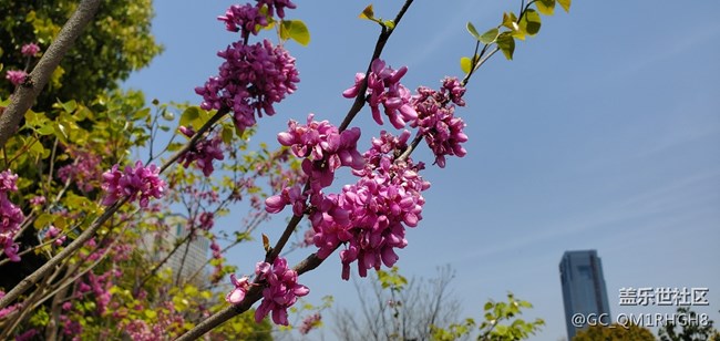 告別了小7迎來了小10，相機還是跟給力的。