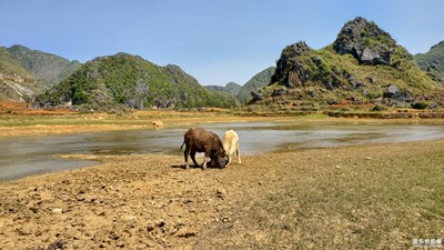 【Photo by Galaxy S10】