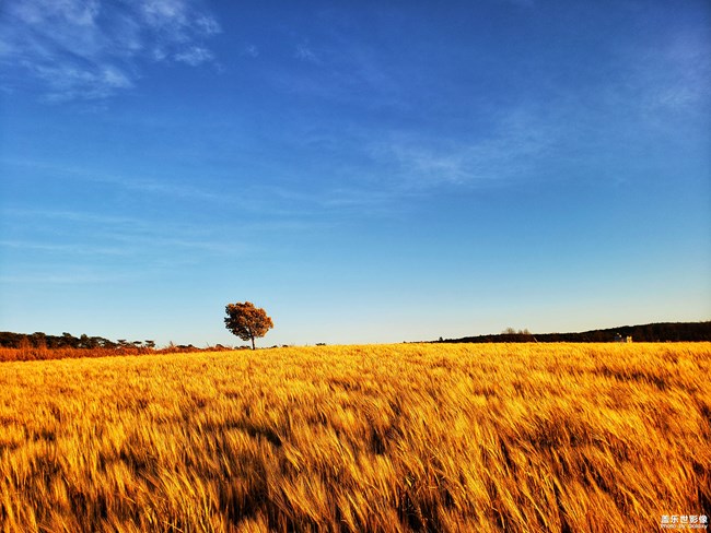 【每周精帖匯143】三星Galaxy A新品影像力家族亮相啦