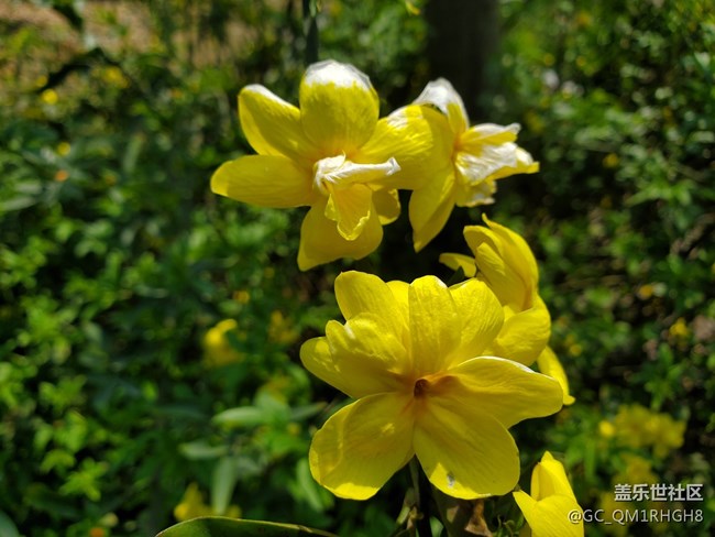 告別了小7迎來了小10，相機還是跟給力的。