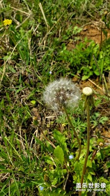 【陽(yáng)光的味道】+大山深處