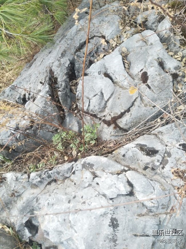 來到了陜西天竺山看看這里的風(fēng)景多美啊