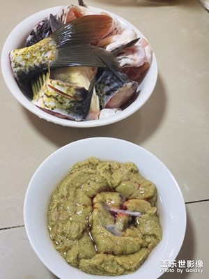 來啊，一起釣魚哇