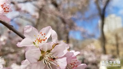 【陽光的味道】春天的氣息…