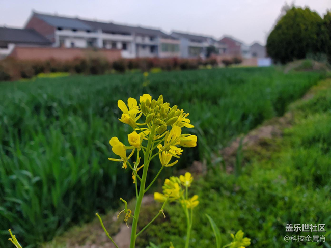 樣樣精通，三星 Galaxy S10+樹(shù)立旗艦新標(biāo)桿！