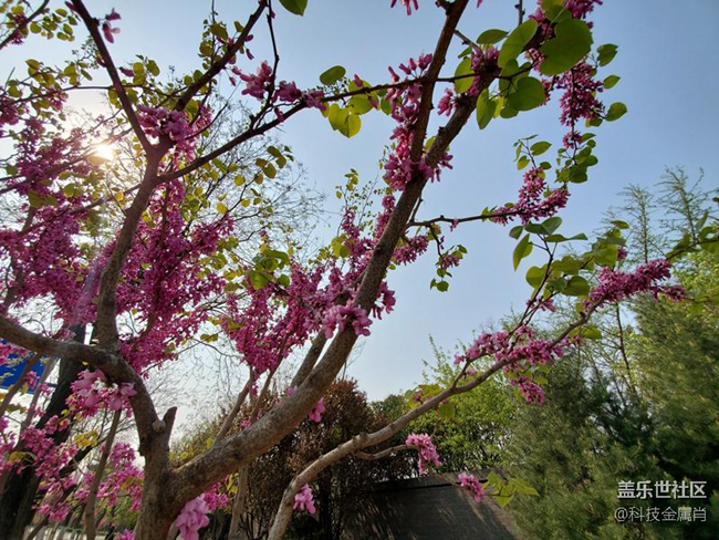 樣樣精通，三星 Galaxy S10+樹(shù)立旗艦新標(biāo)桿！