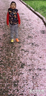 A系列定位在哪里？！