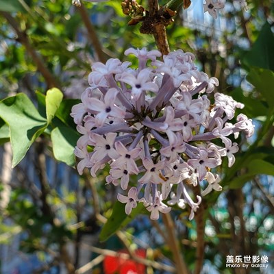 午后