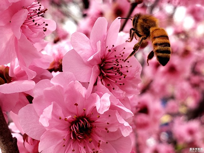 【每周精帖匯143】三星Galaxy A新品影像力家族亮相啦