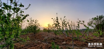 【陽(yáng)光的味道】+小區(qū)夕陽(yáng)隨拍