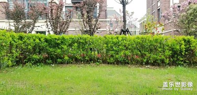 大雨過(guò)后