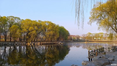 【春】+城市春天