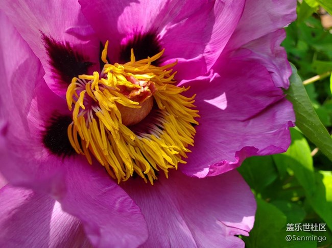 低調(diào)奢華美！三星S10e實(shí)力爆發(fā)，小宇宙也有核能量！