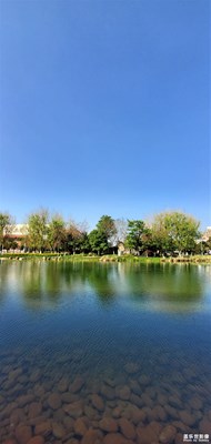 【shot on Galaxy S10】二