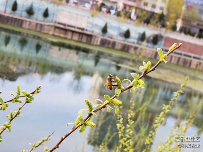 安卓陣營王者歸來，三星S10手機(jī)深度評(píng)測