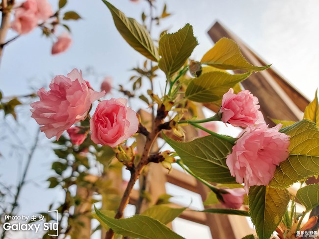 【每周精帖匯143】三星Galaxy A新品影像力家族亮相啦