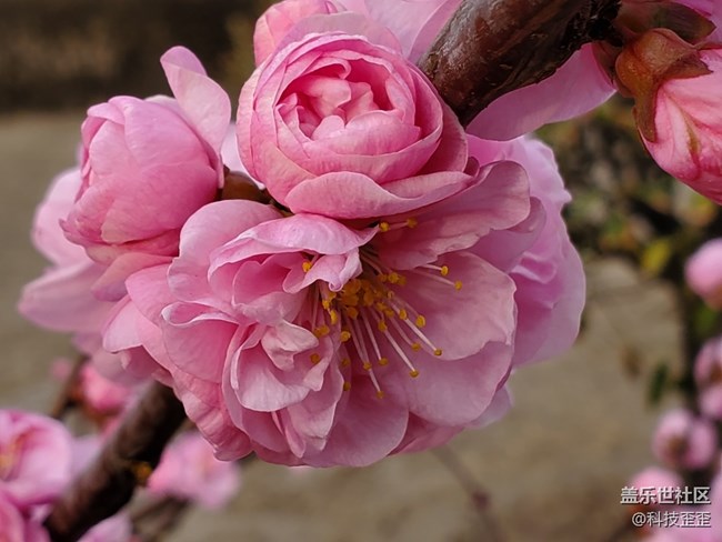 安卓陣營王者歸來，三星S10手機(jī)深度評(píng)測