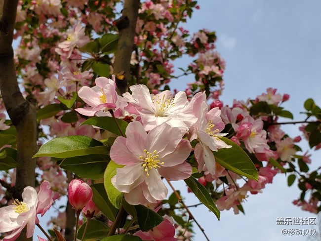 三星Galaxy S10王者歸來：Galaxy Note10不出，誰與爭鋒