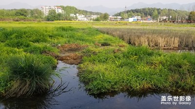 陽光的味道+湖北黃石大冶行