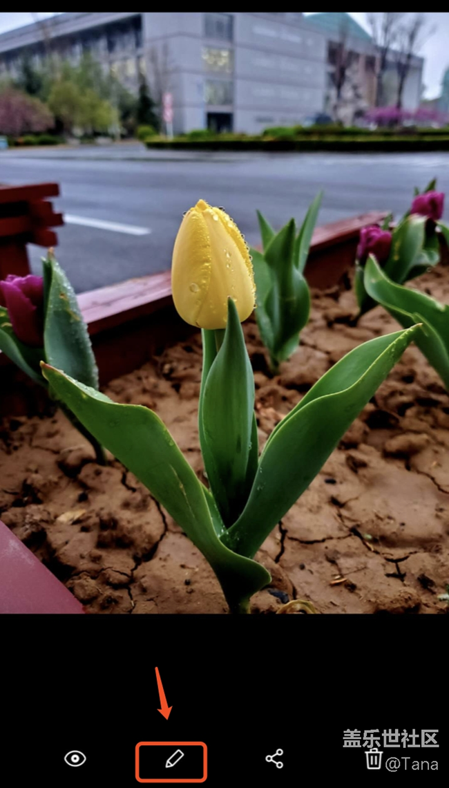 讓自己的照片更個(gè)性！——巧用S10圖片編輯器