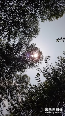 【陽(yáng)光的味道】+明媚分外