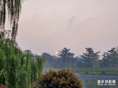 隨手拍