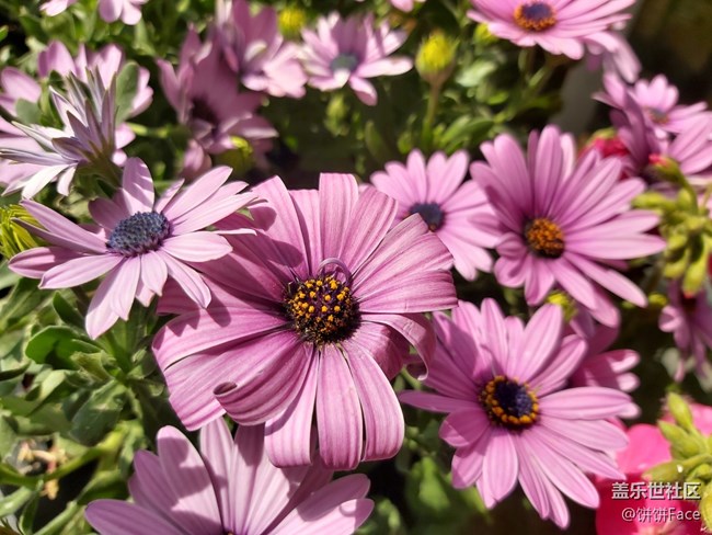 內(nèi)外兼“U” 三星Galaxy A70首發(fā)評(píng)測(cè)