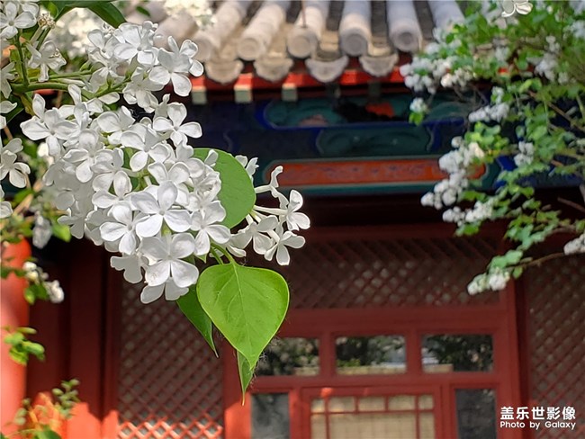 【每周精帖匯144】歡迎三星Galaxy A系列家族四名新成員