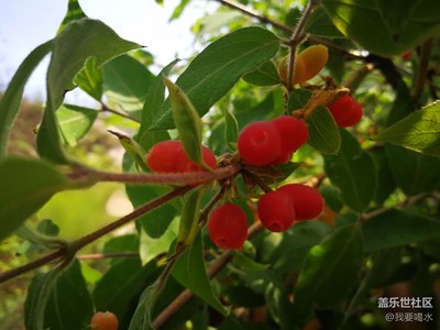 和我在秦嶺里面走一走 就有新的發(fā)現(xiàn)