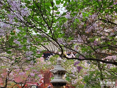 丁香國(guó)度-法源寺