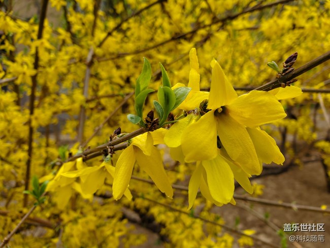 最容易被忽視的"小屏"旗艦，三星Galaxy S10e體驗(yàn)評(píng)測(cè)