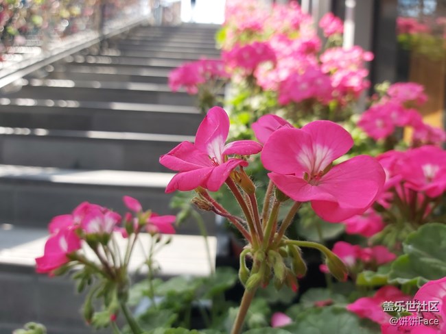 內(nèi)外兼“U” 三星Galaxy A70首發(fā)評(píng)測(cè)