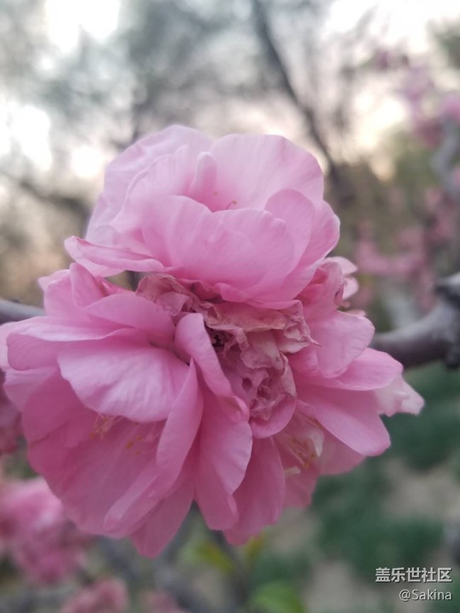 S10極限體驗(yàn)，風(fēng)馳電掣卡丁車