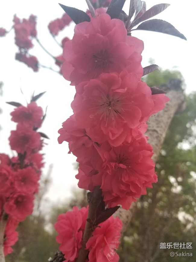 S10極限體驗(yàn)，風(fēng)馳電掣卡丁車