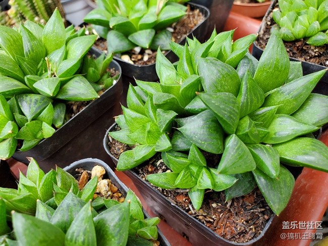 看得見(jiàn)摸得著的全面提升，稱三星Galaxy S10+是機(jī)皇實(shí)至名歸