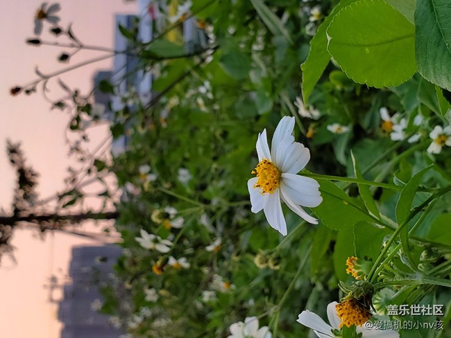 三星依舊沒讓我們失望！Galaxy S10體驗分享