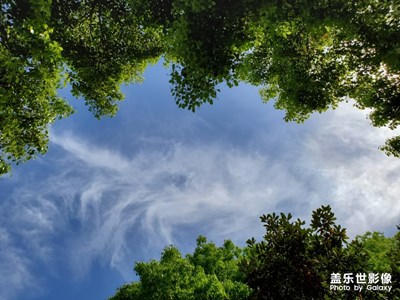今天天氣好，藍(lán)天白云！?。?！
