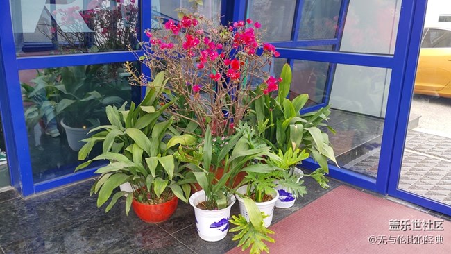 【S10 極限體驗(yàn)】挑戰(zhàn)速度與機(jī)情，不負(fù)青春好光陰