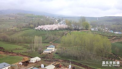 【在路上】+旅途隨手拍