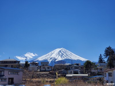 【在路上】日本櫻花季