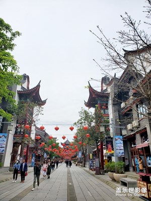 拍照不一定是最好的，但是我很用心拍，分享給大家。