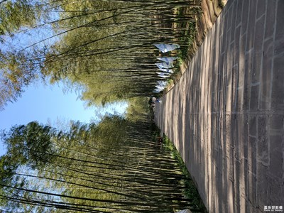 在路上-蜀南珠海游