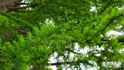 隨拍兩張