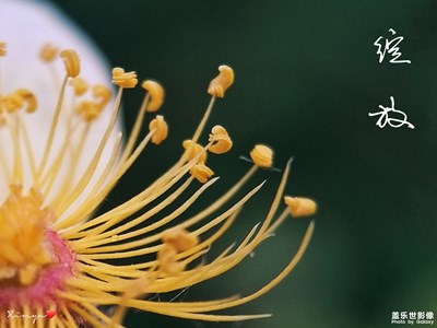 【三星s8+】準(zhǔn)備和春天告?zhèn)€別