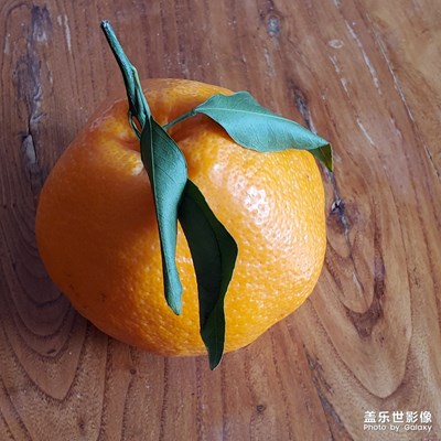 水果