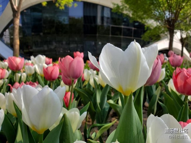 三星S10+深度體驗：可能是上半年表現(xiàn)最棒的旗艦機(jī)