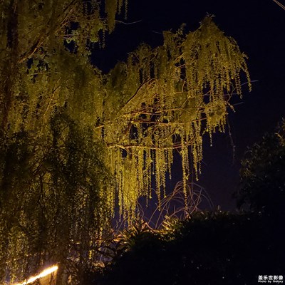 【在路上】+真-在路上